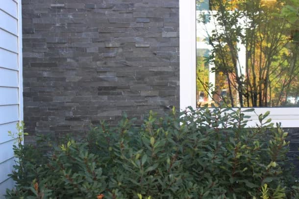 Vinyl siding with accent trim on a Scarborough home